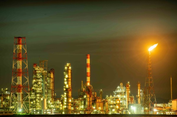 大在ディズニー 魚が主食