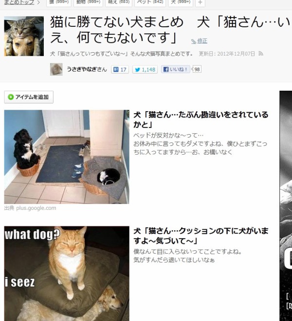猫に勝てない犬まとめ 犬が忍耐強過ぎて不思議と萌える Naverまとめで稼ぐ 記録と分析