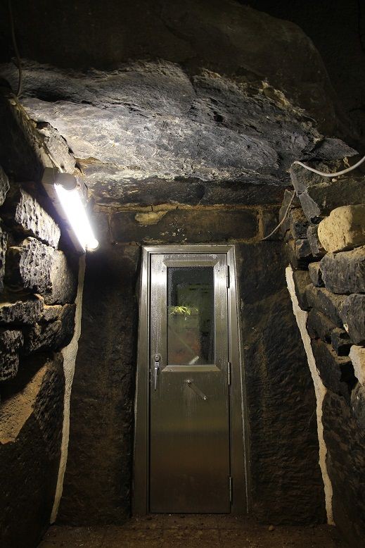 古銭　天保通宝　萩藩　曳尾　狭天 新寛永通寶分類譜【天保銭 萩・水戸】