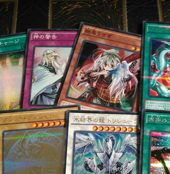 幽鬼うさぎ再録 やったー 遊戯王は株って本当