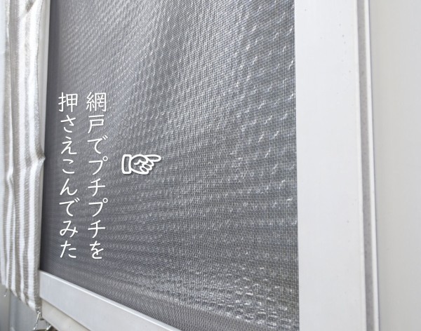 あさイチの結露対策 プチプチは窓の外に Neigeノ庭カラ