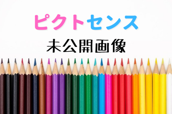 ピクトセンス未公開画像 ねこの１にち自由帳