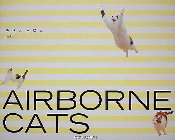 ねこぼん ９匹目 そらとぶねこ ａｉｒｂｏｒｎｅ ｃａｔｓ やっぱり猫本が好き