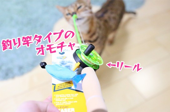 猫釣り ベンガル猫ブログ ねこちん 猫とオッサンの賃貸生活