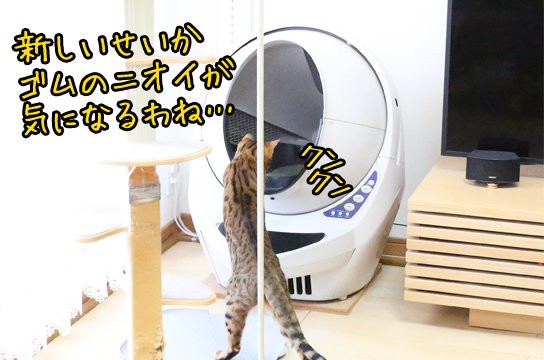 最新型の自動猫トイレ リッターロボット オープンエアー のメリット デメリット ベンガル猫ブログ ねこちん 猫とオッサンの賃貸生活