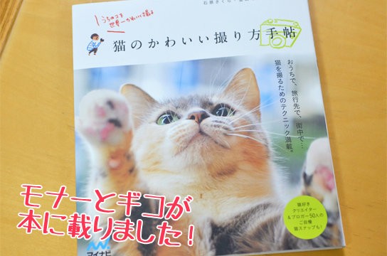 モナーとギコが本に載りました ベンガル猫ブログ ねこちん 猫とオッサンの賃貸生活