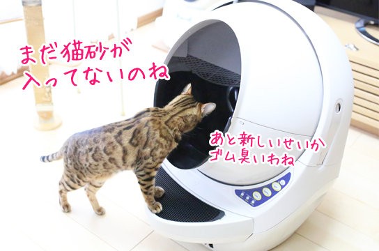 47％割引最低価格の 【シオン&碧ママ様専用】キャットロボット オープンエアー リッターロボット3 猫用品 ペット用品-OTA.ON