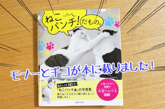 モナー猫 2ちゃんねる モナー ねこ ぬこ ストラップの通販 by kyon 