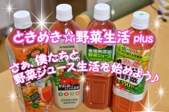 クロコが考えた乙女ゲー 2回目更新 ベンガル猫ブログ ねこちん 猫とオッサンの賃貸生活