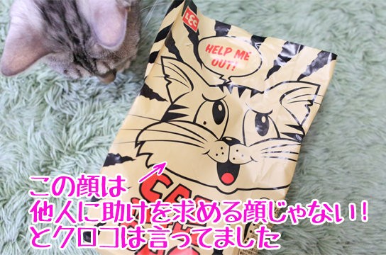 lec cat トップ in the bag おもちゃ