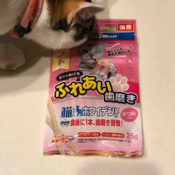 ふうりん。〜猫の歯磨き〜 : おっとり夫と気まぐれ妻のi-smart life 