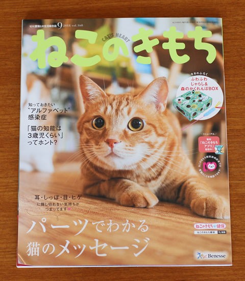 雑誌掲載 ねこのきもち 猫式ブログ 里親募集型猫カフェ