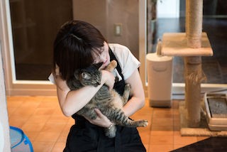 人気ナンバー１猫 くるみちゃん ネコcafeぷりむろーず : 上越猫カフェ 