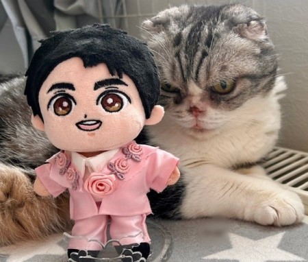 こひろみくん（郷ひろみさんのぬいぐるみ）の服作り⑧ : 猫だらけ