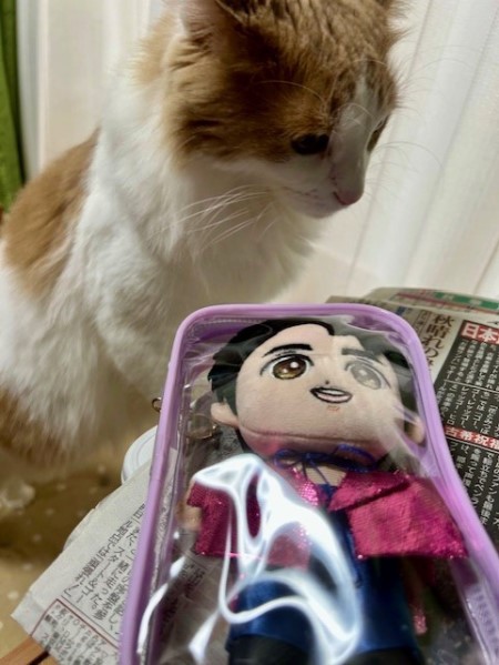郷ひろみさんの武道館ライブへの想い : 猫だらけ Powered by