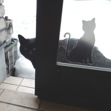 ニトリで見つけたクロちゃん似の器 猫だらけ Powered By ライブドアブログ