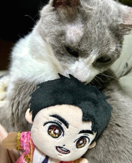 郷ひろみさんのコンサートに行ってきました。（札幌9月3日） : 猫