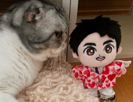 こひろみくん（郷ひろみさんのぬいぐるみ）の服作り② : 猫だらけ