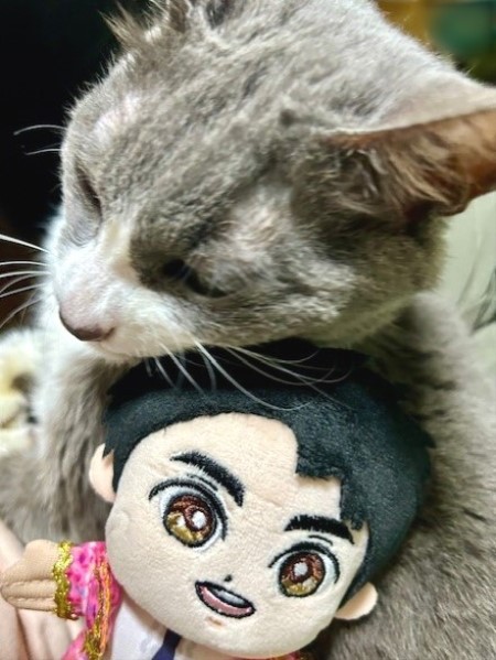 郷ひろみさんのぬいぐるみが気に入ったネネちゃん : 猫だらけ Powered