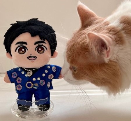 こひろみくん（郷ひろみさんのぬいぐるみ）の服作り③ : 猫だらけ