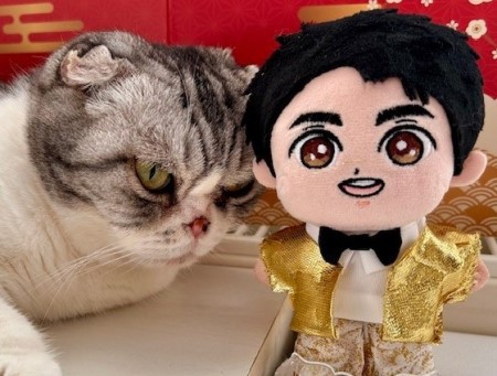 こひろみくん（郷ひろみさんのぬいぐるみ）から新年のご挨拶 : 猫
