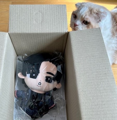 ねこ☆　BIGすのチル すのチルが届きました～♪ : 猫だらけ Powered by ライブドアブログ
