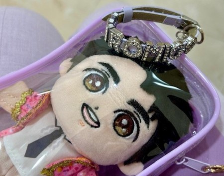 郷ひろみさんのコンサートに行ってきました（札幌9月2日） : 猫だらけ