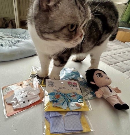 こひろみくんの服を100円ショップで探してみました。 : 猫だらけ