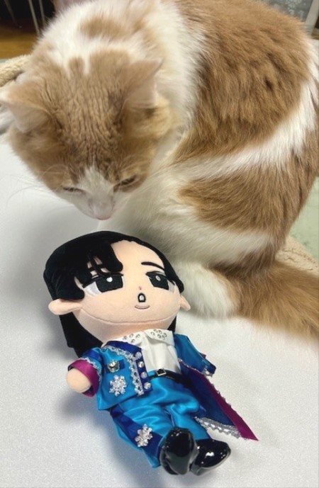 すのチルにターコイズの衣装を作ってみました : 猫だらけ Powered by