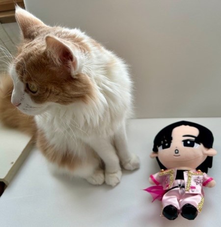お誕生日をお祝いしてすのチル（目黒蓮さん）の服を作りました : 猫