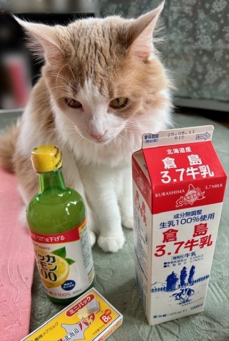 ロピアでお買い物をしてきました。（札幌） : 猫だらけ Powered by