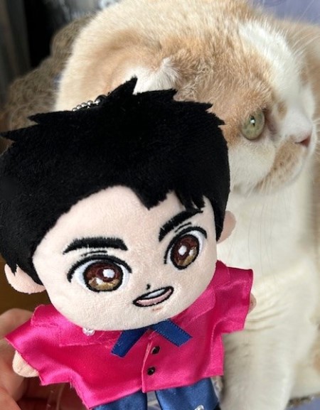 こひろみくん（郷ひろみさんのぬいぐるみ）の服作り⑪ : 猫だらけ