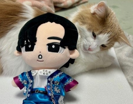 すのチルにターコイズの衣装を作ってみました : 猫だらけ Powered by