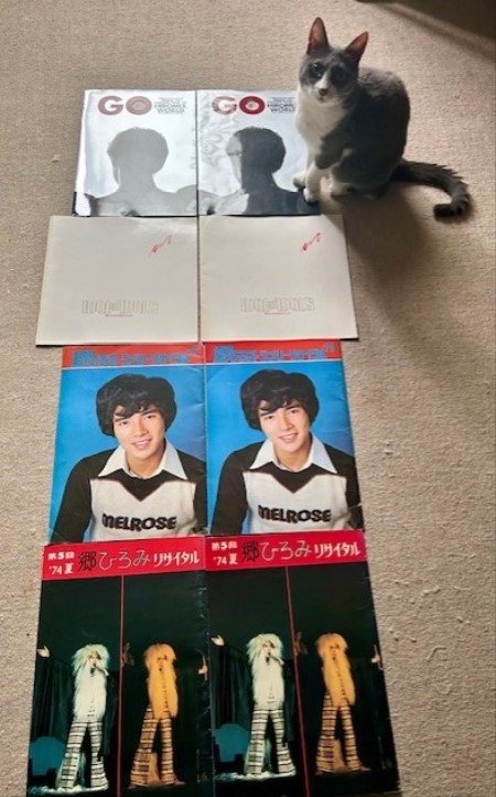 郷ひろみさんの1974年のコンサートのパンフレット : 猫だらけ Powered