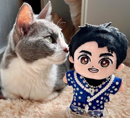 こひろみくん（郷ひろみさんのぬいぐるみ）の服作り④ : 猫だらけ