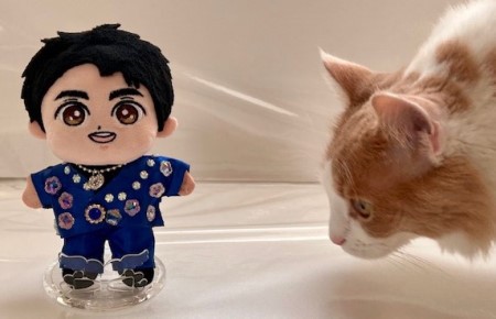 こひろみくん（郷ひろみさんのぬいぐるみ）の服作り③ : 猫だらけ