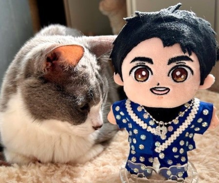 こひろみくん（郷ひろみさんのぬいぐるみ）の服作り④ : 猫だらけ