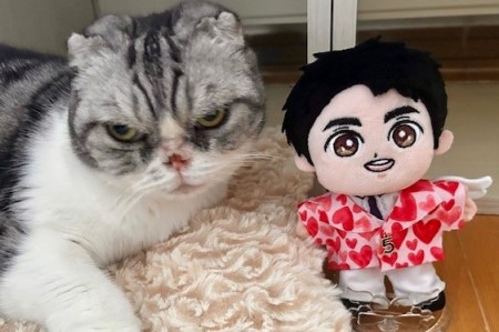 こひろみくん（郷ひろみさんのぬいぐるみ）の服作り② : 猫だらけ