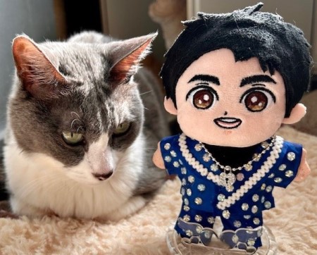 こひろみくん（郷ひろみさんのぬいぐるみ）の服作り④ : 猫だらけ