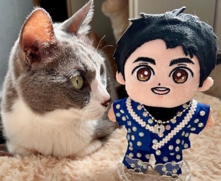 こひろみくん（郷ひろみさんのぬいぐるみ）の服作り④ : 猫だらけ