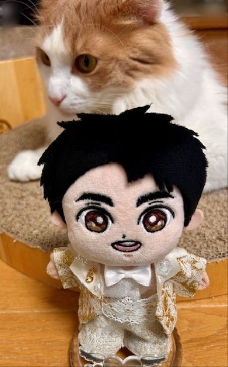 こひろみくん（郷ひろみさんのぬいぐるみ）の服作り⑩ : 猫だらけ