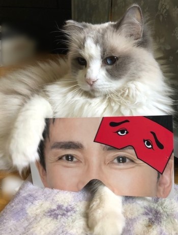 ひろみさん専用ページ Hiromi Go at Nippon Budokan 2025」 10月18日(土)公演のセットリスト