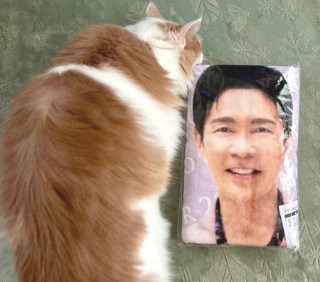 郷ひろみさんのファンの方から長い贈り物～♪ : 猫だらけ Powered by