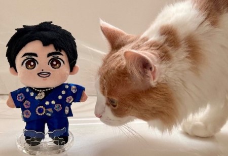 こひろみくん（郷ひろみさんのぬいぐるみ）の服作り③ : 猫だらけ