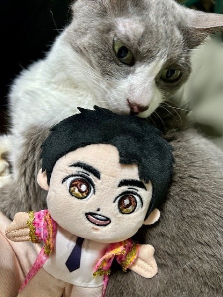 郷ひろみさんのぬいぐるみが気に入ったネネちゃん : 猫だらけ Powered