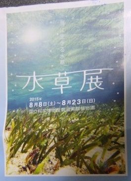 植物館レポ 筑波実験植物園 水草展 に行ってきました 博物館レポと理科っぽいなにか