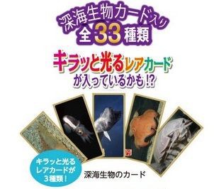 深海ハンター クランチチョコ 博物館レポと理科っぽいなにか