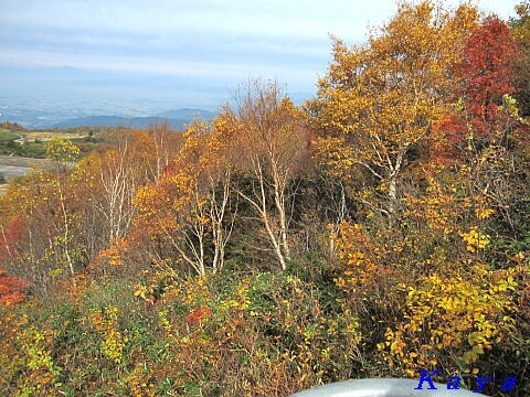 天元台夏山リフト ９ しらかばリフト 下り と紅葉 10年10月 山形県 米沢市白布 の旅 19 おくのみち 東北地方 北海道の旅