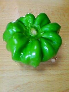 神楽南蛮の完全防備で臨むレシピ 猫に小判 おばさんに