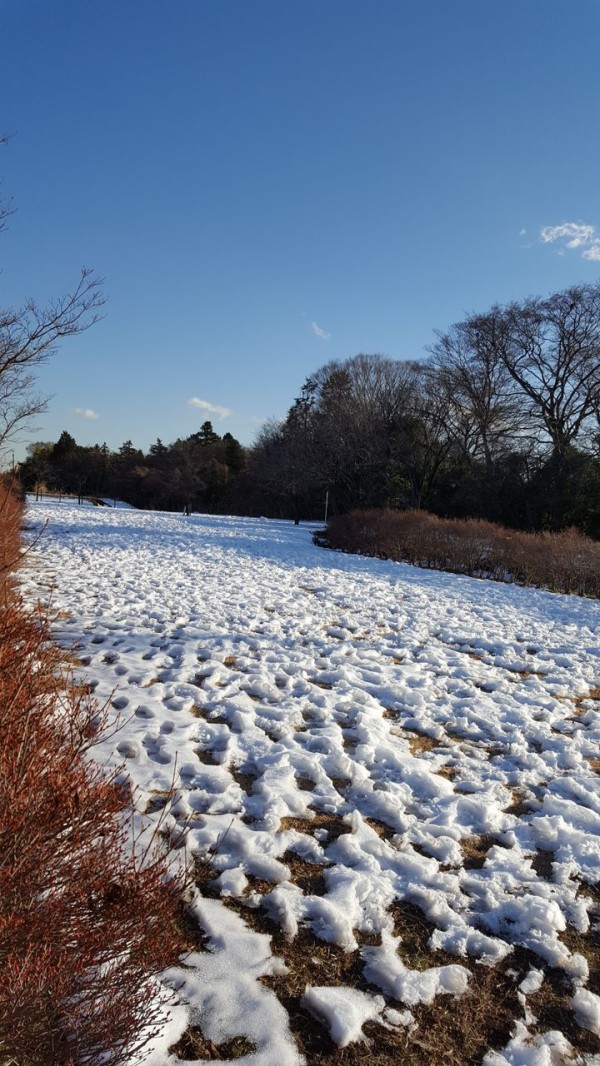 恋しく て 目 を 閉じれ ば